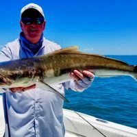 Pine Island Fishing